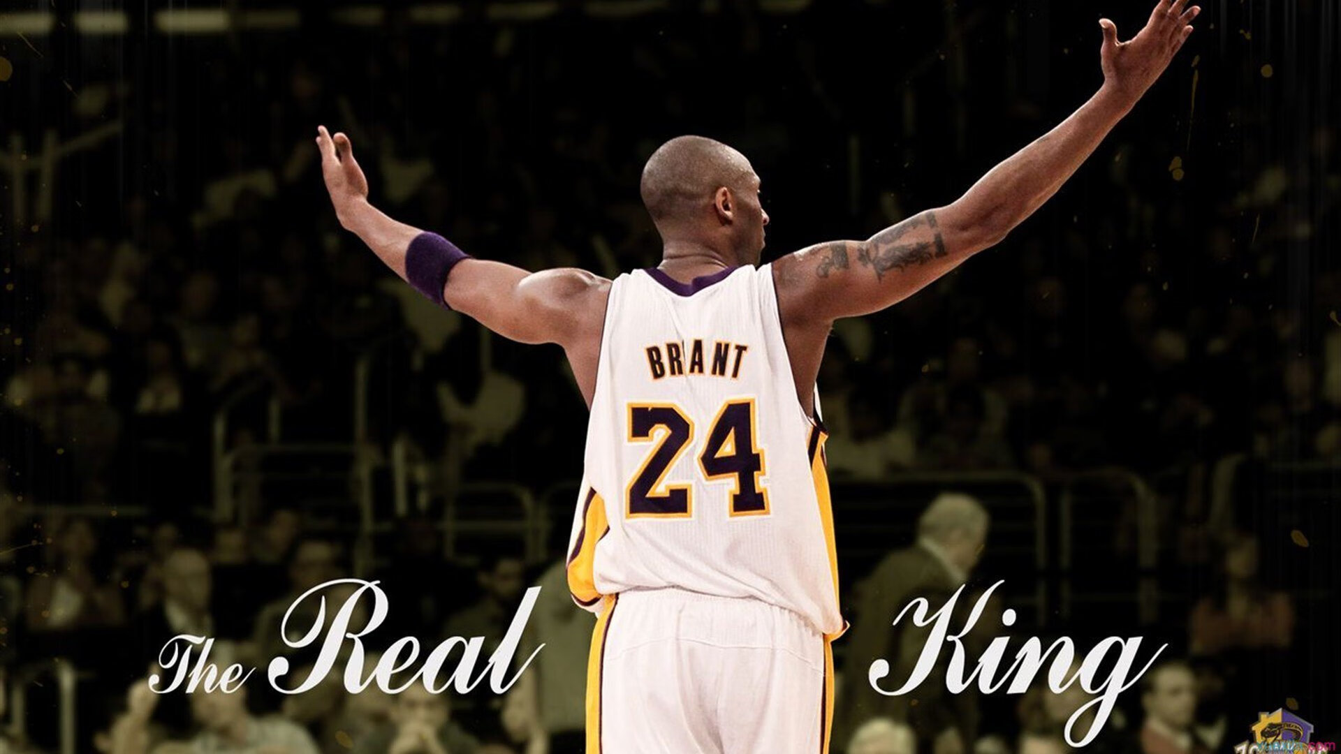 帕尔默的刀锋，当摩纳哥的华丽遇上尼斯的铁血，一个英格兰人如何撕开法甲最坚固的防线