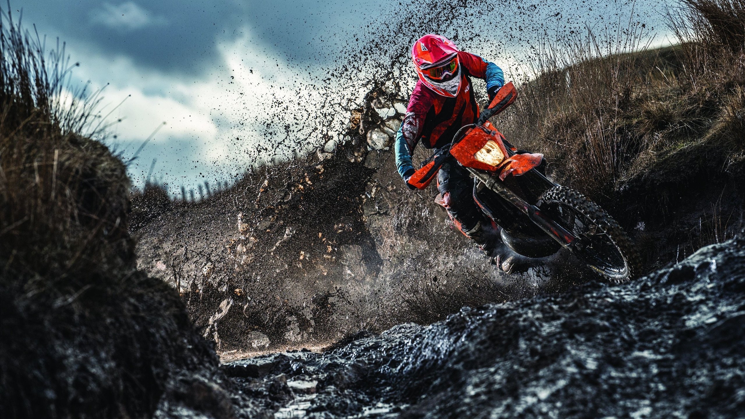 约基奇稳定如钟，老鹰逆转风暴，当不变遇见剧变